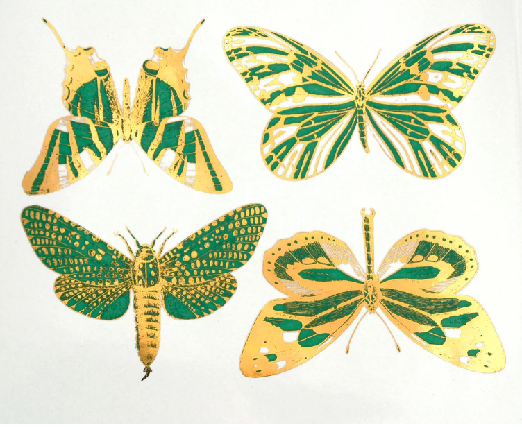 Butterflies