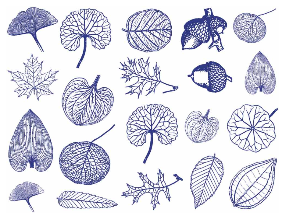 Cone 6 Small Leaf decal