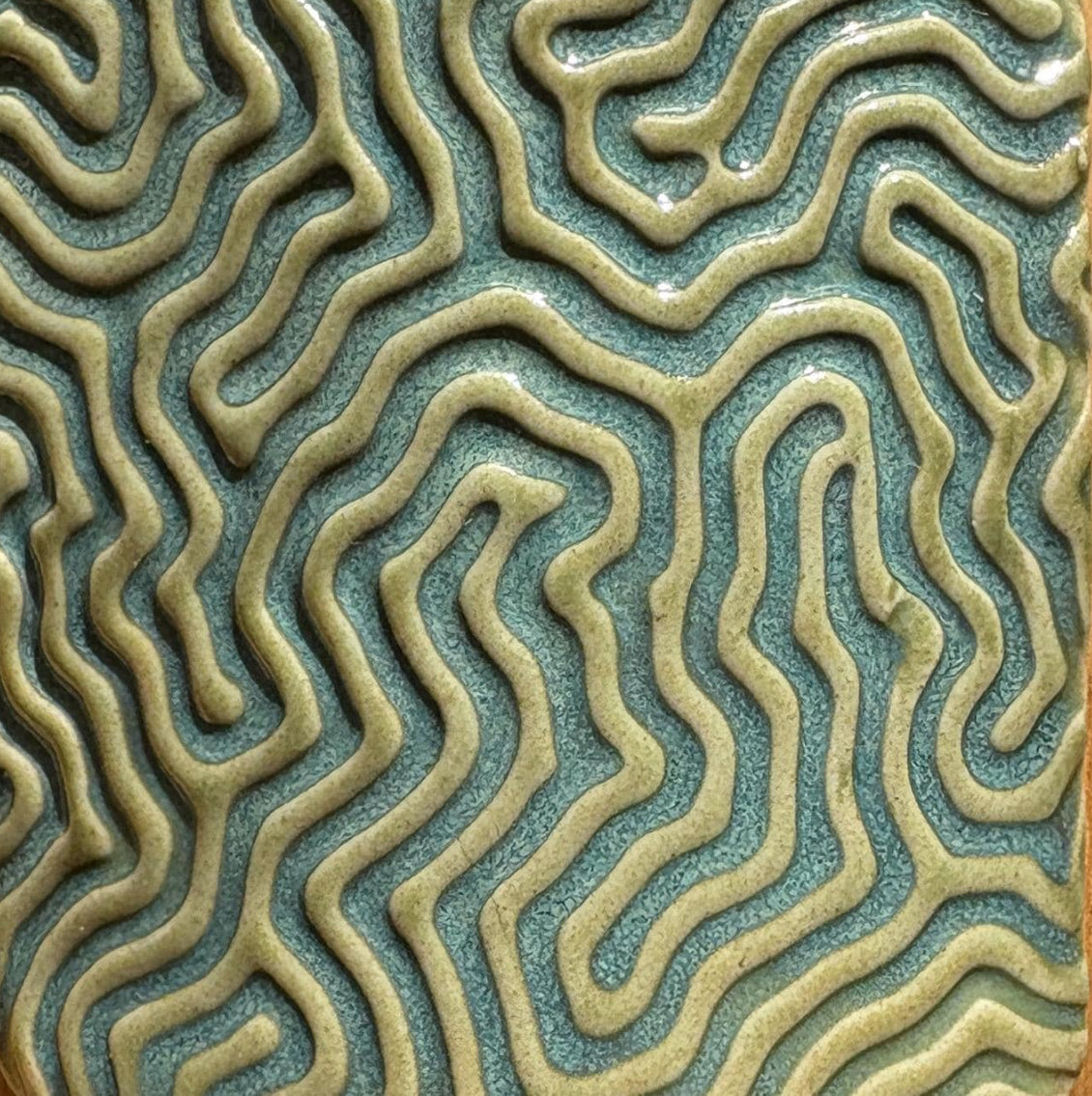 Seafloor Roller