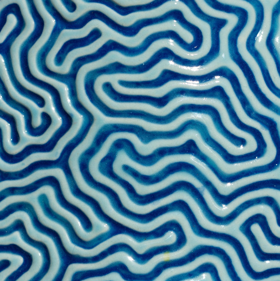Seafloor Roller