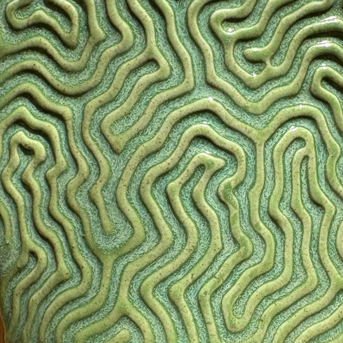 Seafloor Roller