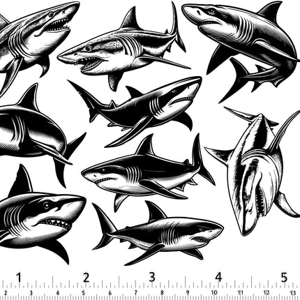 Shark Decals