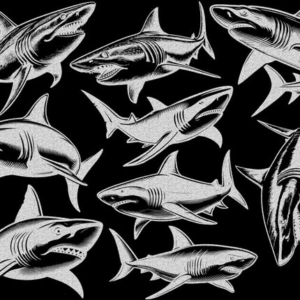 Shark Decals