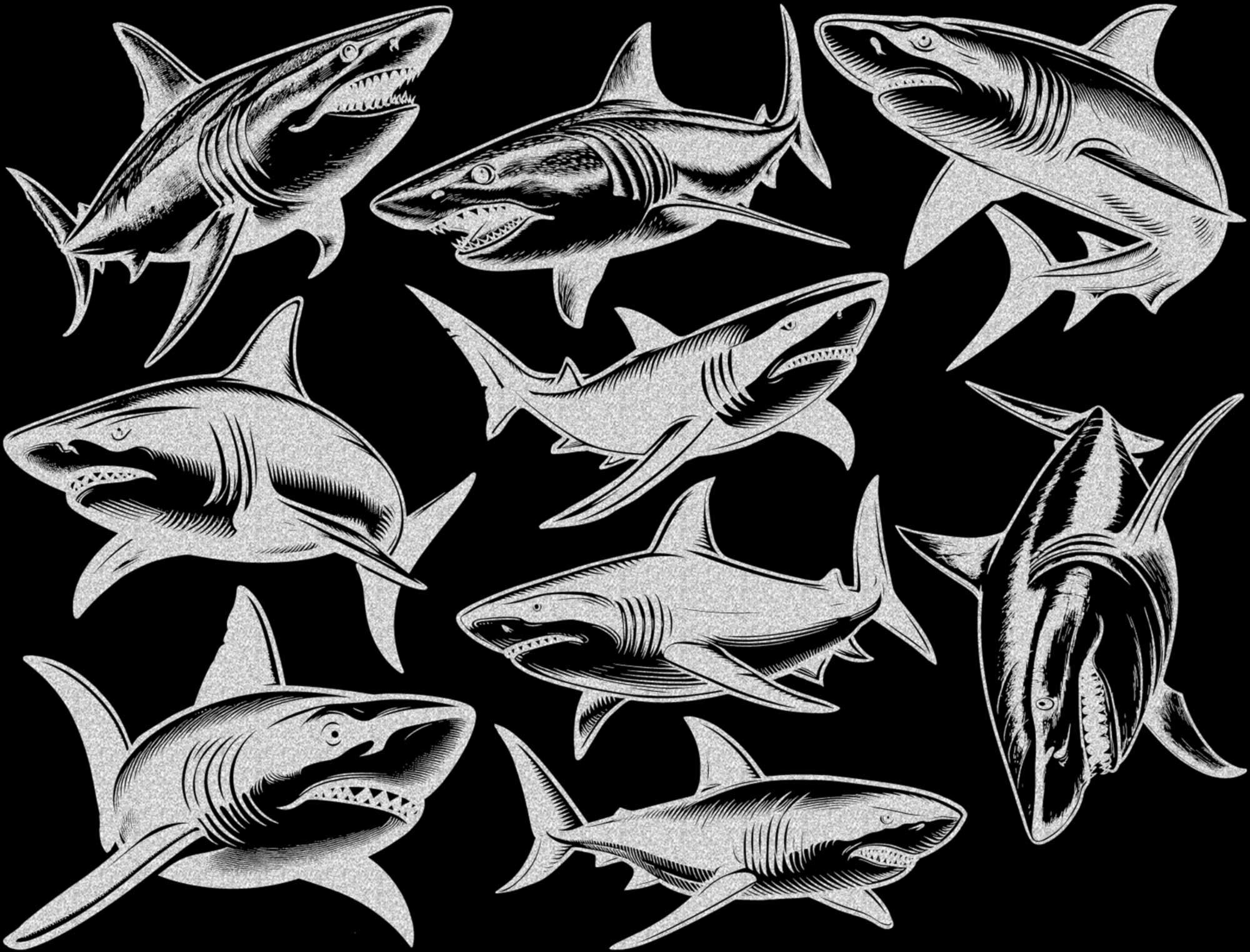 Shark Decals