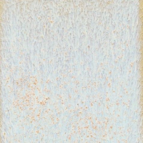 Star Dust Coyote Fantasy #222