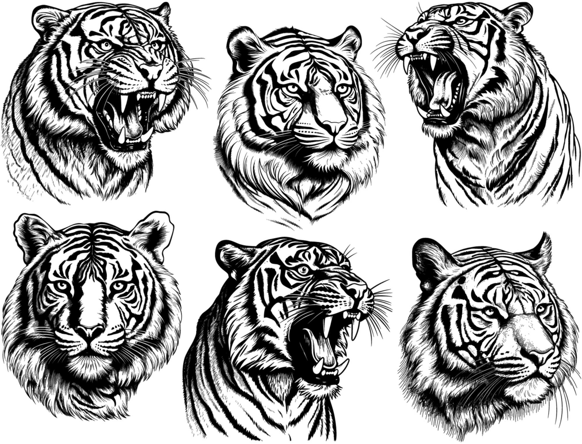 Tiger Decal