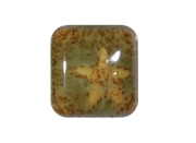 RG-7 TREE FROG  Moroccan Fusion Glaze