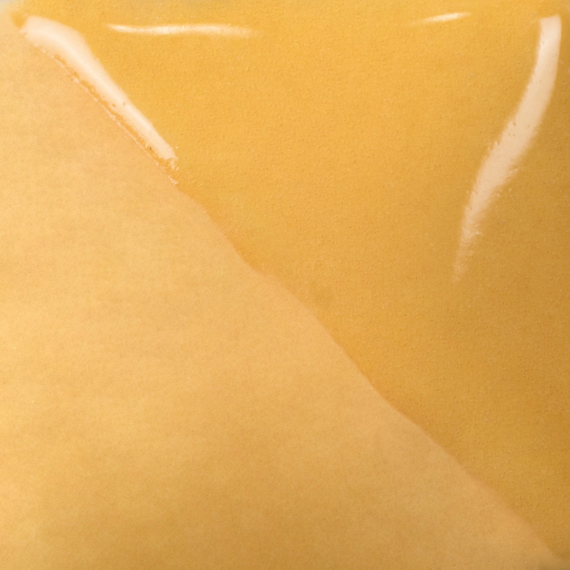 Squash Yellow Underglaze
