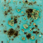Blue Guppy Jungle Gems