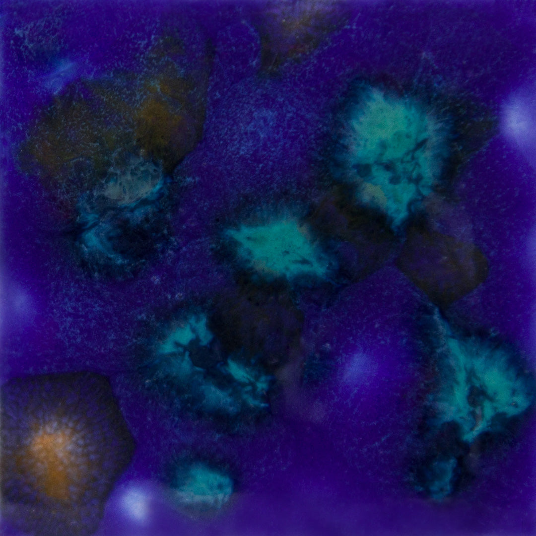 Lagoon Blue Jungle Gems