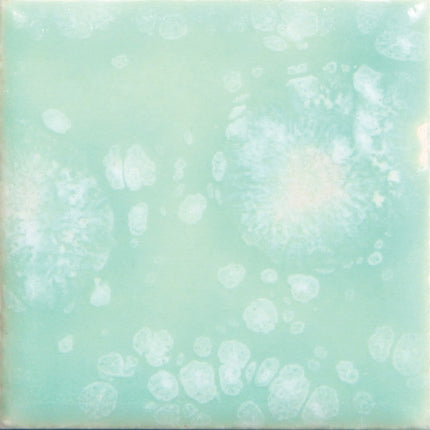 Seafoam Jungle Gems