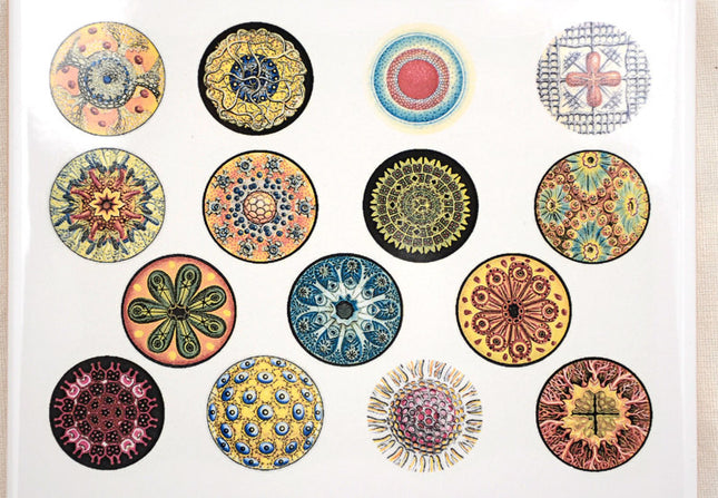 Full Color Circles