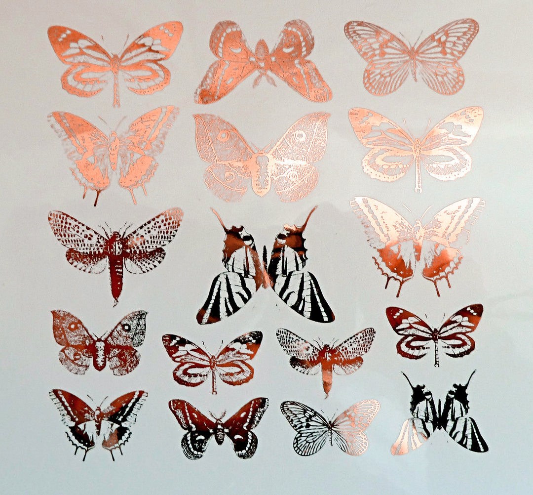 Butterflies