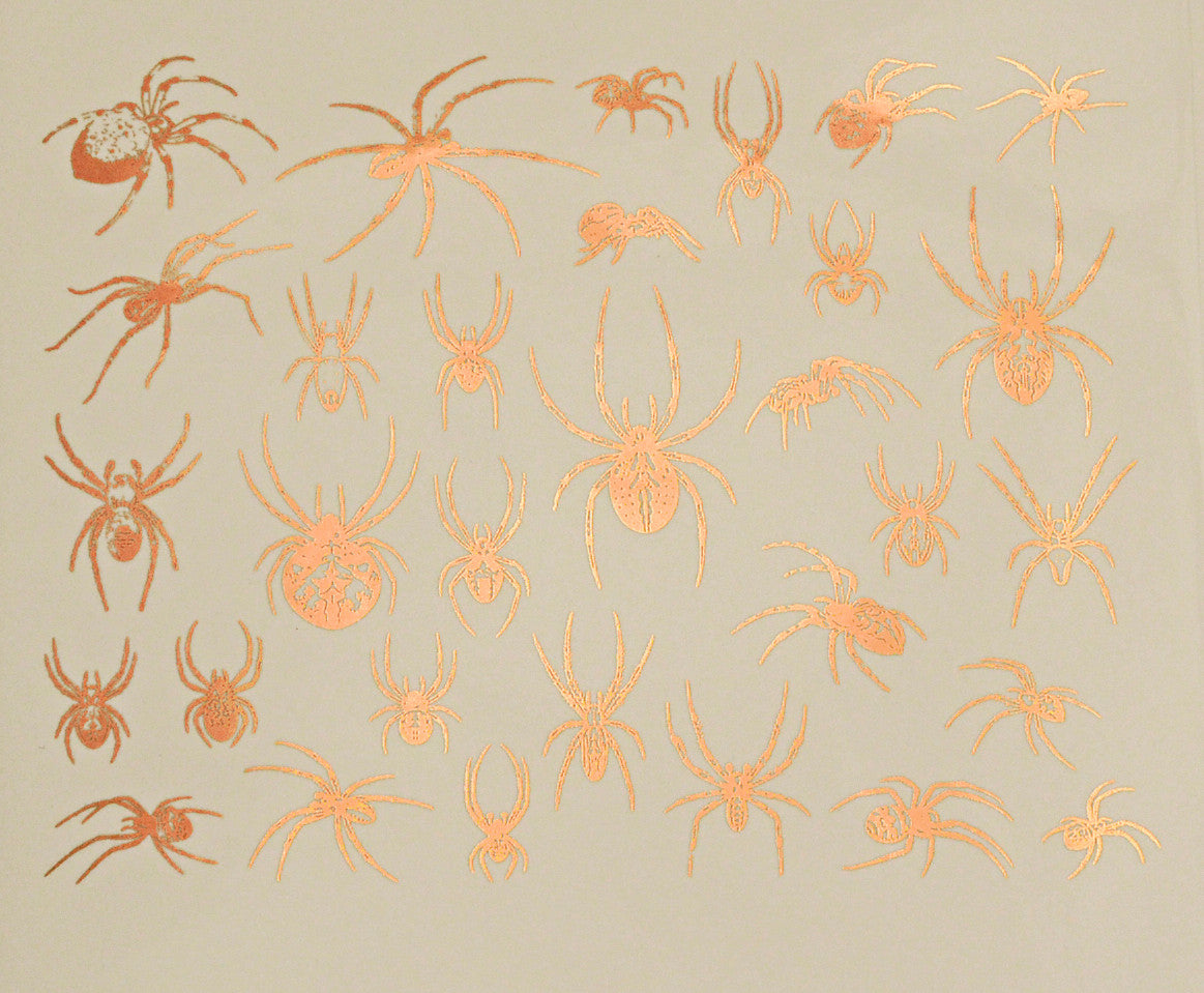 Spiders
