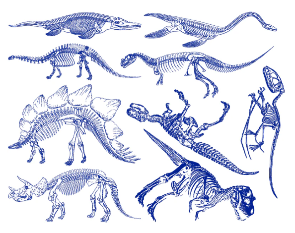 Cone 6 Dinosaurs Decal