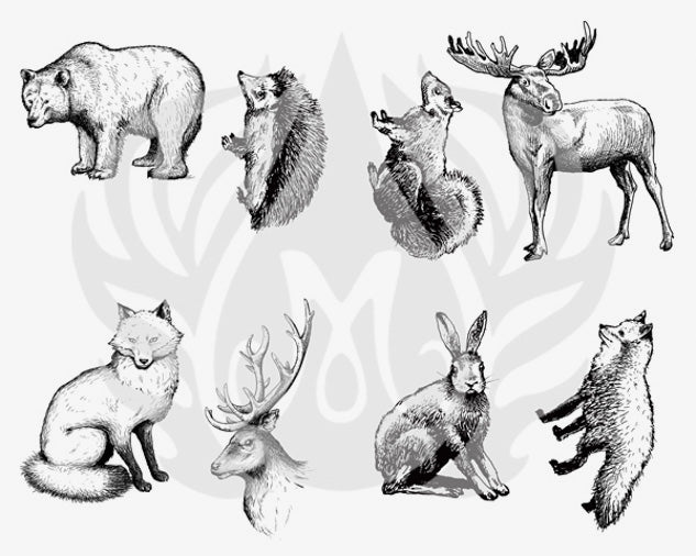 Woodland Animals Silkscreen