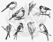 Aviary Small Birds Silkscreen