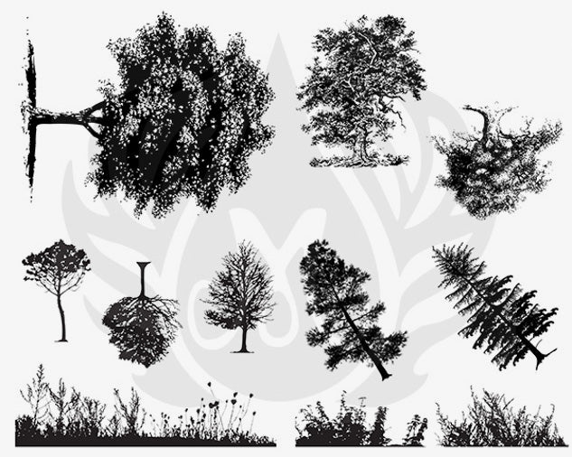 Botanical Trees Silkscreen