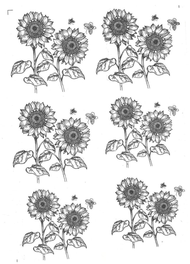 Large Sunflowers Underglaze Transfer