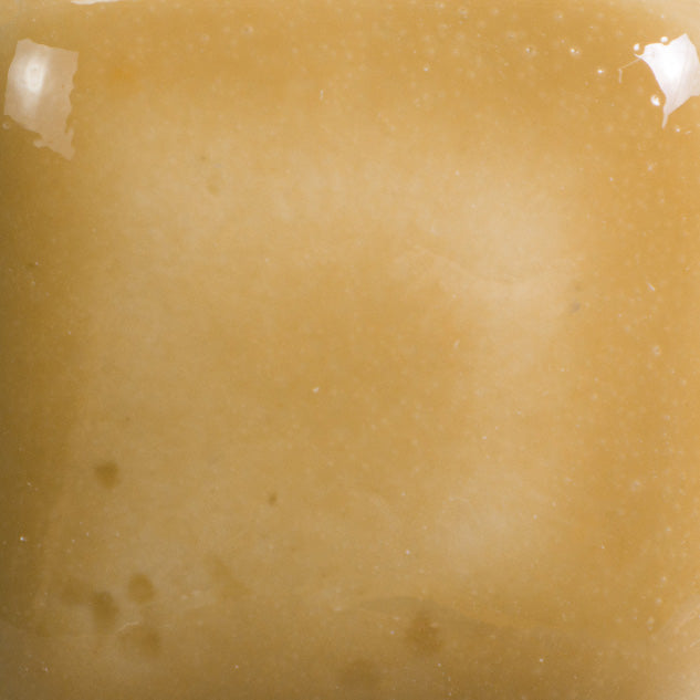 Saddle Tan Foundations