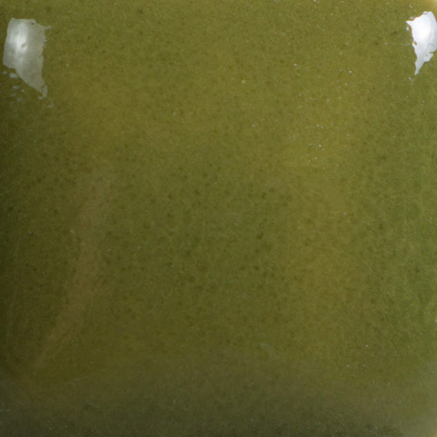 Olive Green Foundations