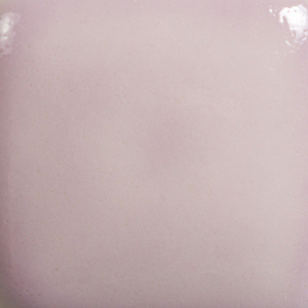 Raspberry Whip Foundations