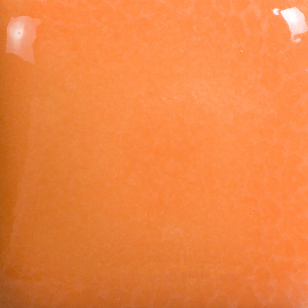Pumpkin Foundations