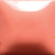 Flamingo Foundations