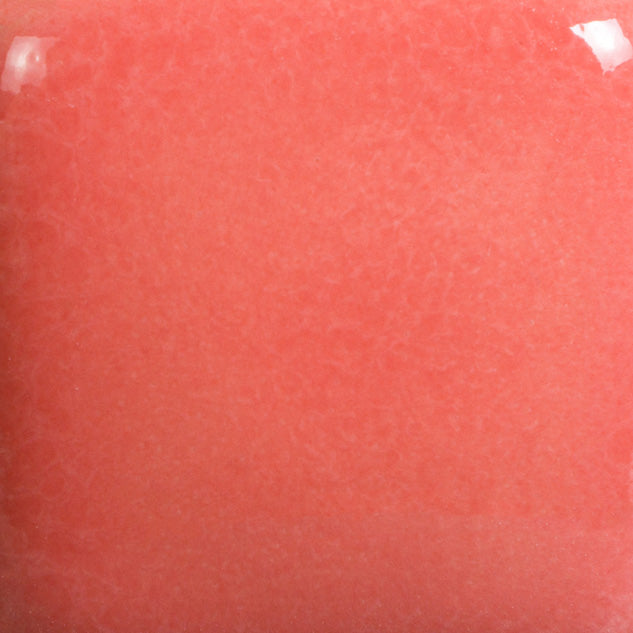 Flamingo Foundations