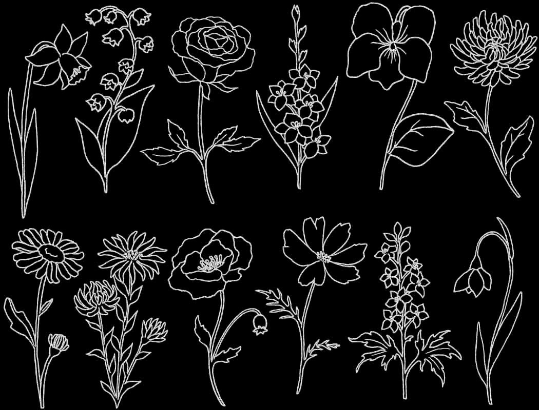Garden Flowers