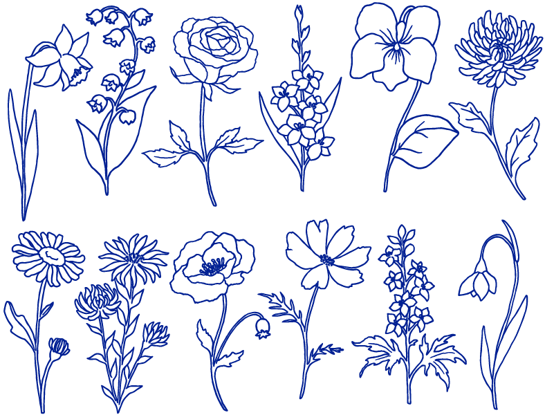 Garden Flowers