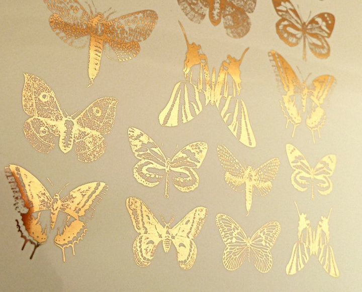Butterflies