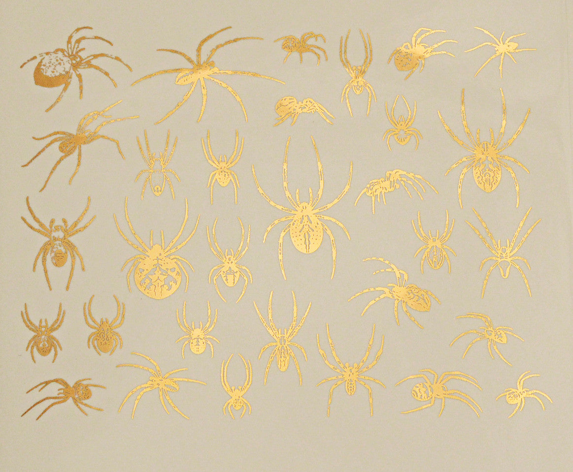 Spiders