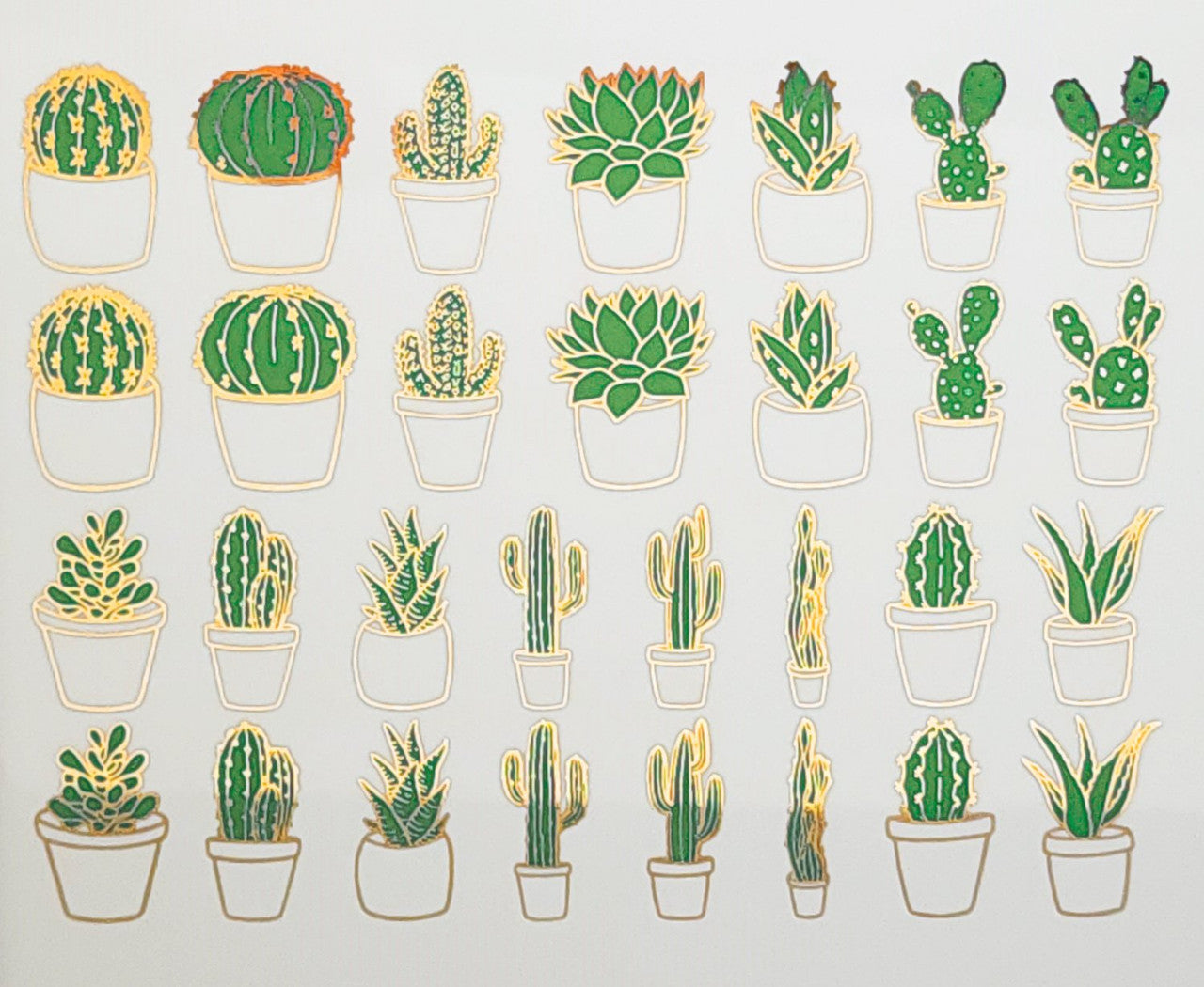 Cactus