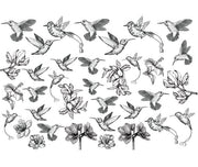 Humming Bird