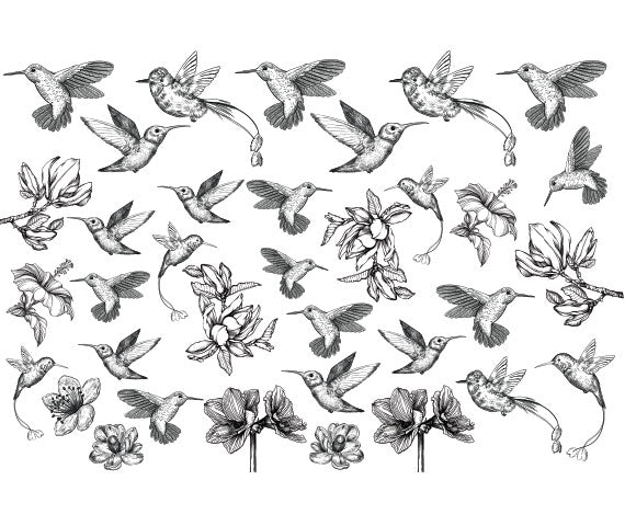 Humming Bird