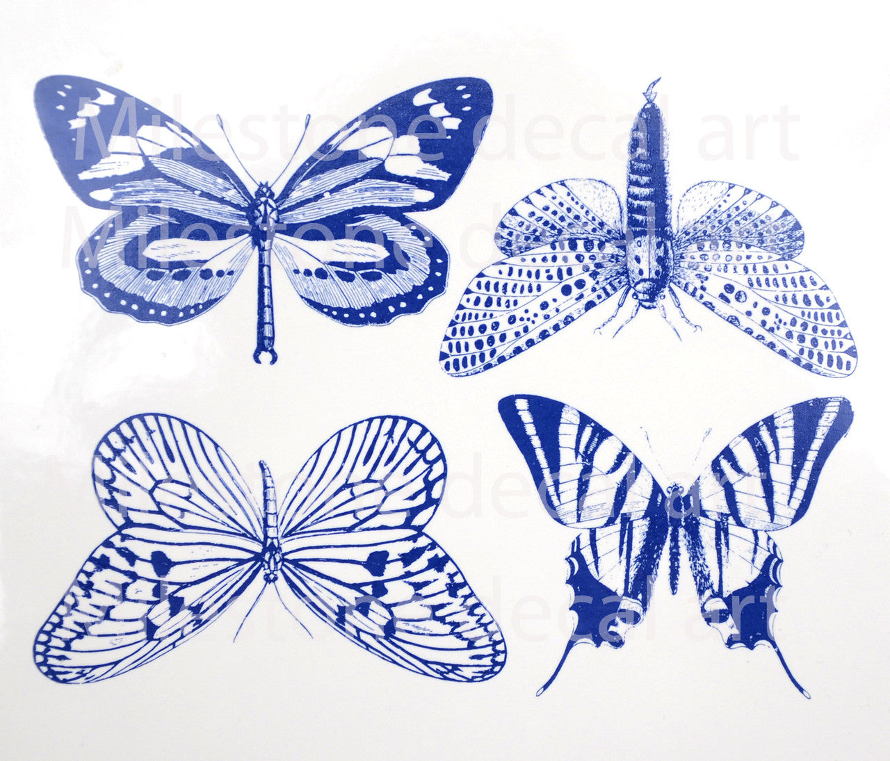 Butterflies