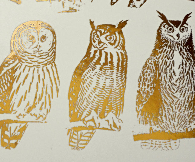 Owls