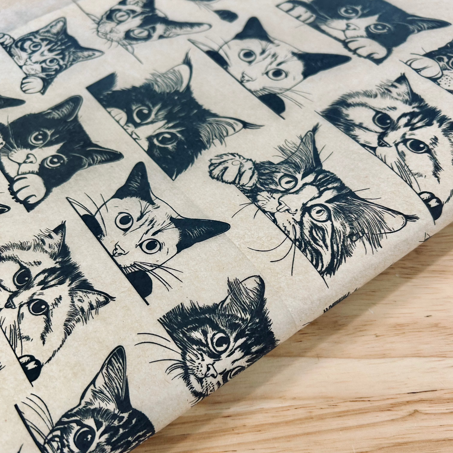 Zany Cats Underglaze Transfer