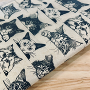 Zany Cats Underglaze Transfer