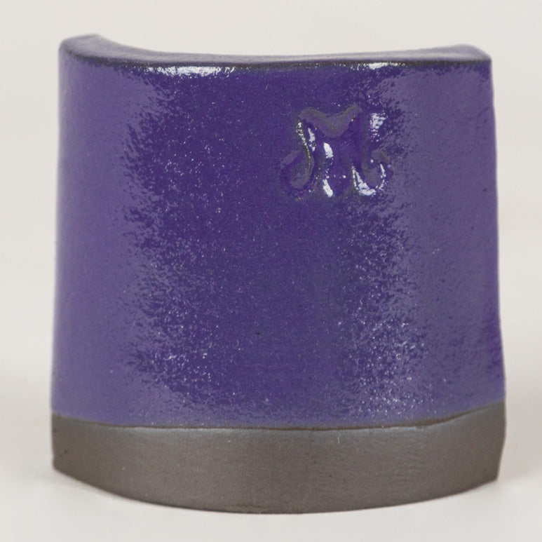 Purple Gloss Pint 505