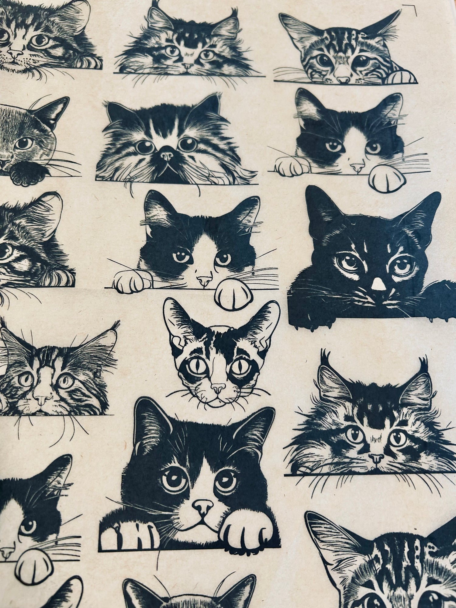 Zany Cats Underglaze Transfer
