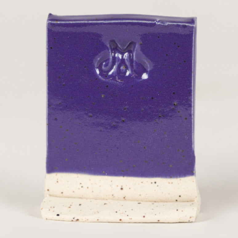 Purple Gloss Pint 505