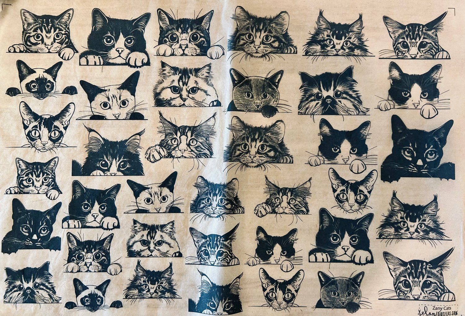 Zany Cats Underglaze Transfer