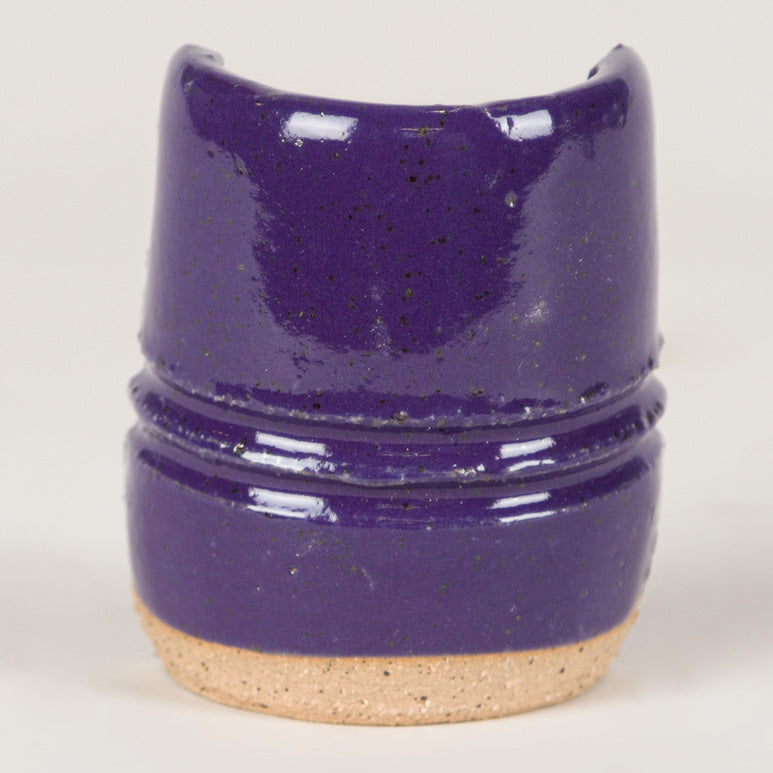 Purple Gloss Pint 505