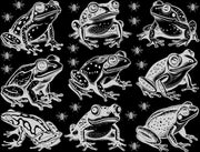 Decal Frogs & Flies