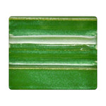 1199 Texture Mossy