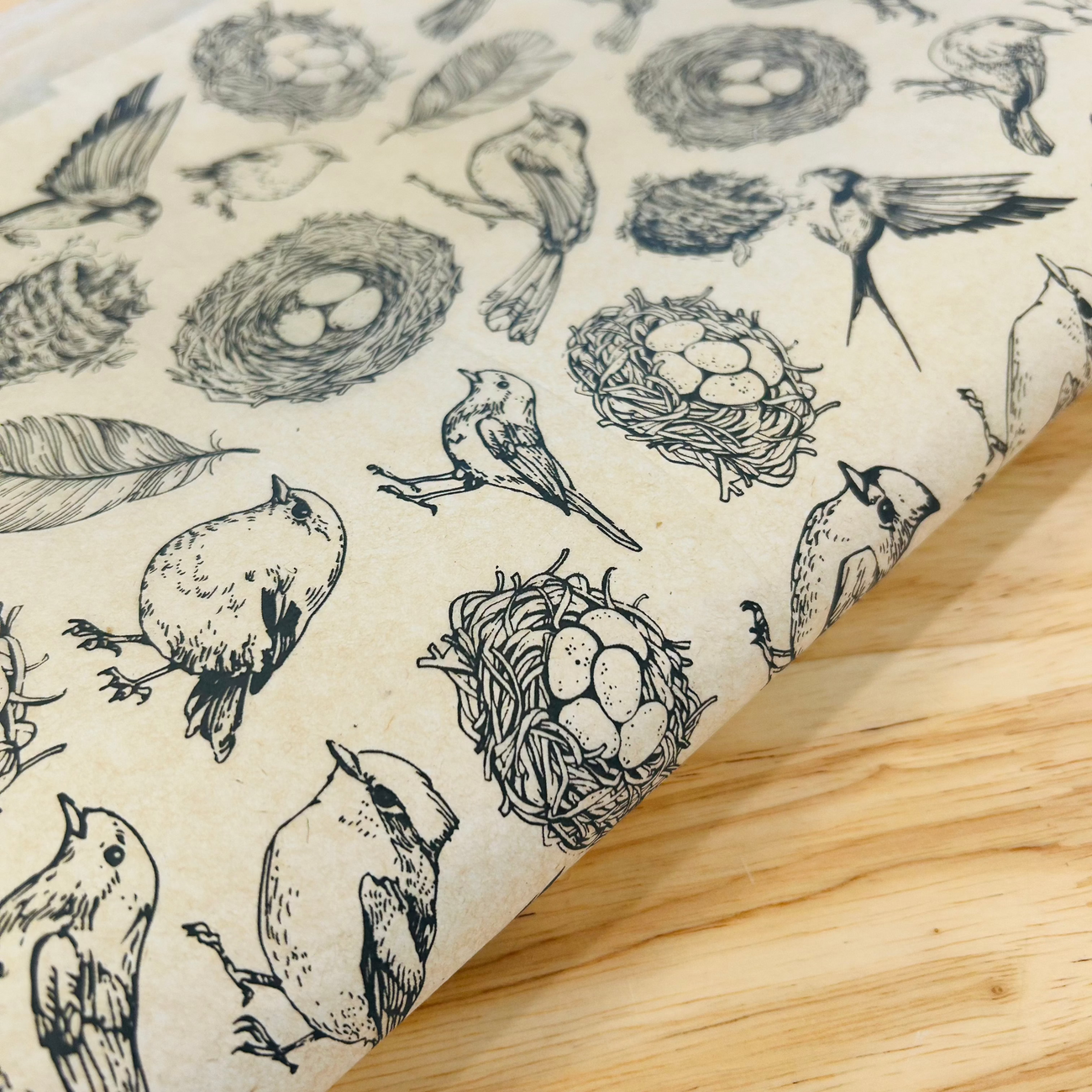 Nests Underglaze Transfer