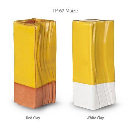 TP-62 Maize