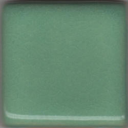 Mint Coyote Gloss #015